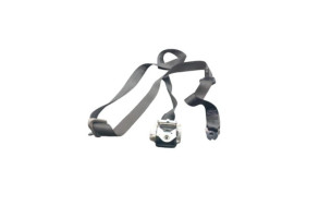 Ceinture arriere gauche RENAULT GRAND MODUS Photo n°5