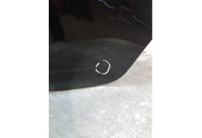 Porte arriere gauche DACIA DUSTER 1 Photo n°2